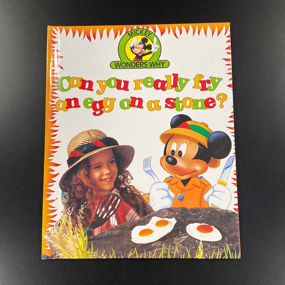 Mickey Wonders Why: Can You Really Fry an Egg on a Stone? - Hardcover Book
